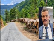YRP �L�E BA�KANI KARAMADEN'DEN K�Y YOLLARINDAK� ODUN VE TOMRUKLAR ���N UYARI